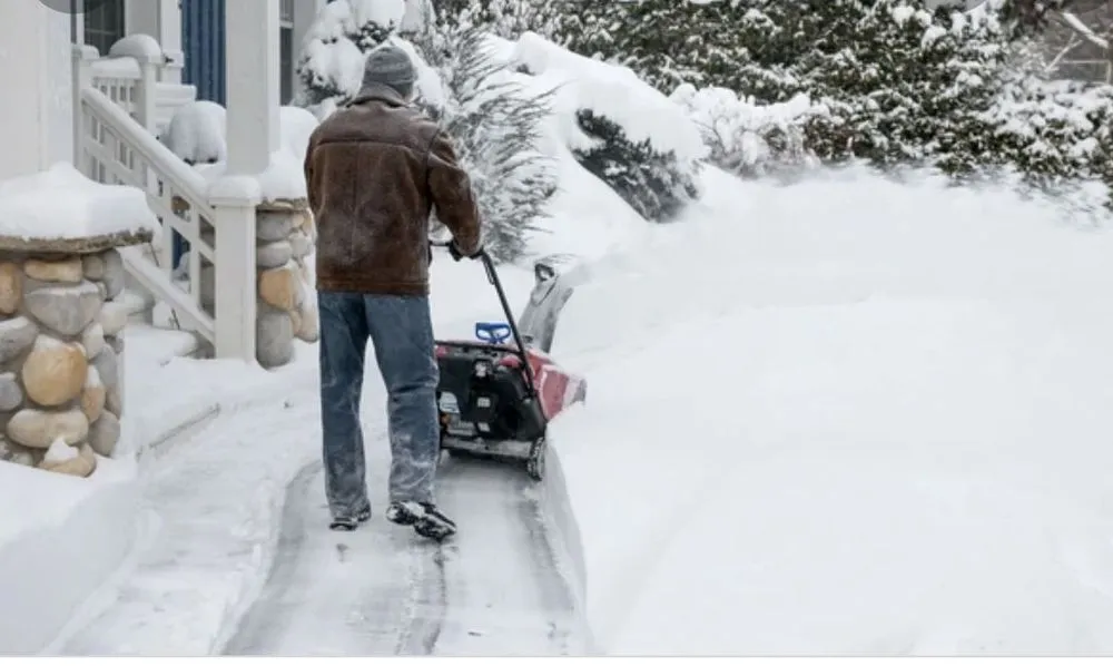 Professional garden landscaping experts serving Hazel Crest, IL - MDA Landscaping Pro