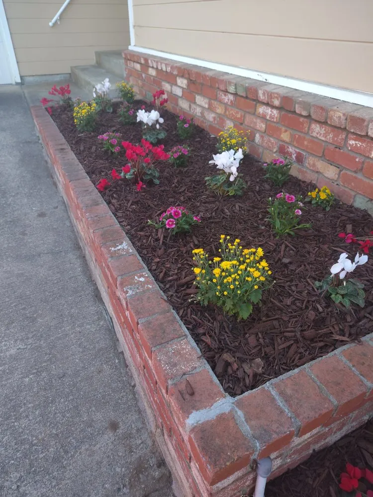 Professional outdoor landscaping with custom design across San Bruno, CA - MDA Landscaping