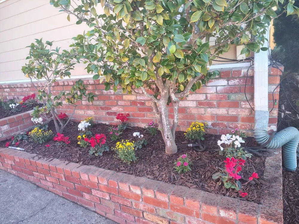 Local residential landscaping for outdoor upgrades in San Bruno, CA by MDA Landscaping