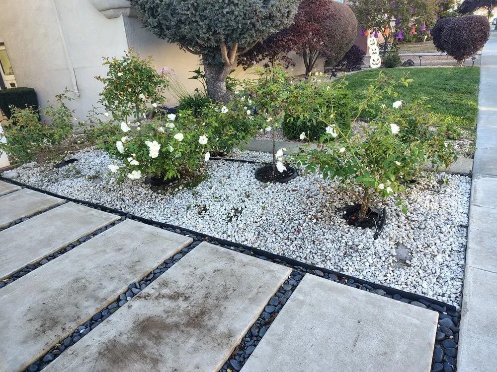Professional lawn care service experts serving San Bruno, CA - MDA Landscaping