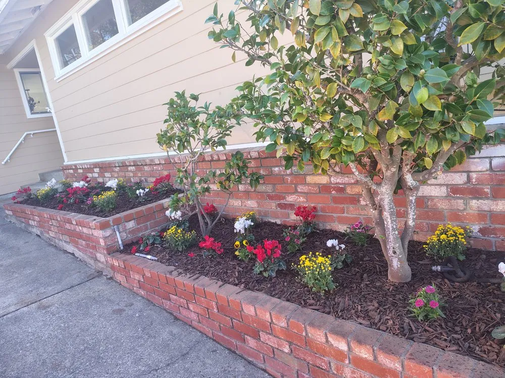 Expert yard maintenance in San Bruno, CA by MDA Landscaping