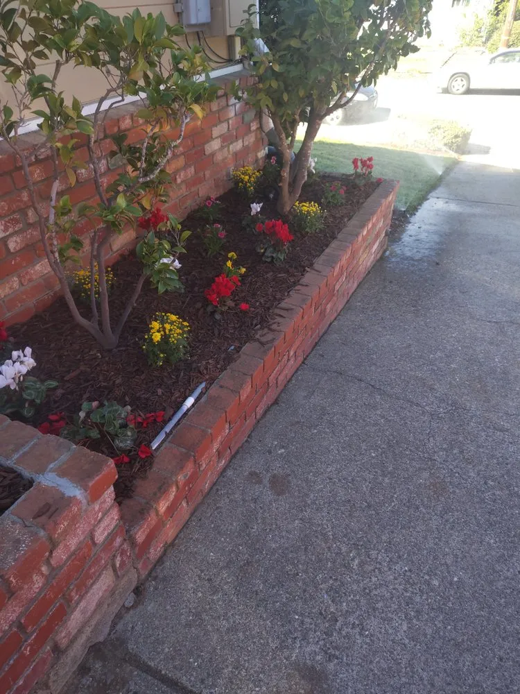 Local landscape design in San Bruno, CA by MDA Landscaping
