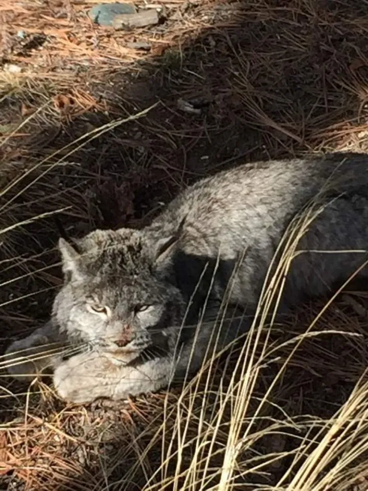 Local landscape installation for residential properties in Weatherford, TX by MDB Lawn Service