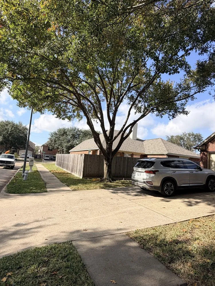 Custom lawn care service near you across Katy, TX - MDJA Tree Service and Landscaping