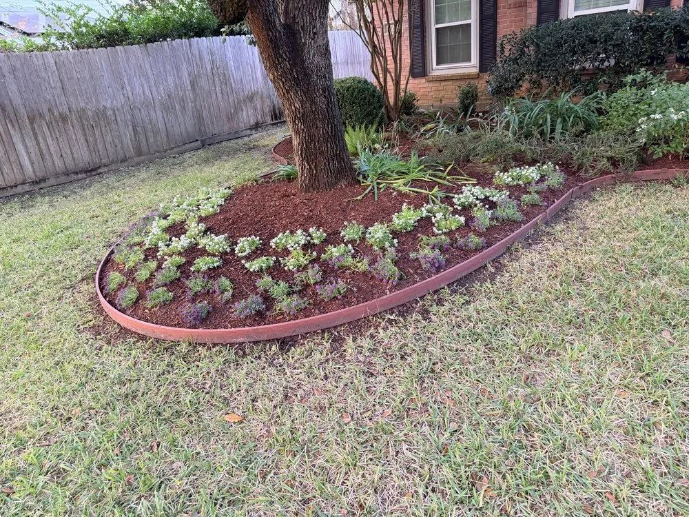 Affordable outdoor landscaping with custom design in Katy, TX by MDJA Tree Service and Landscaping
