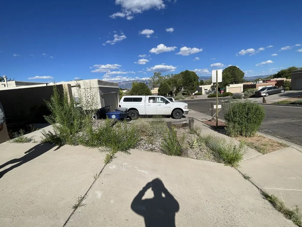 Local garden landscaping for homes in Albuquerque, NM by MDL