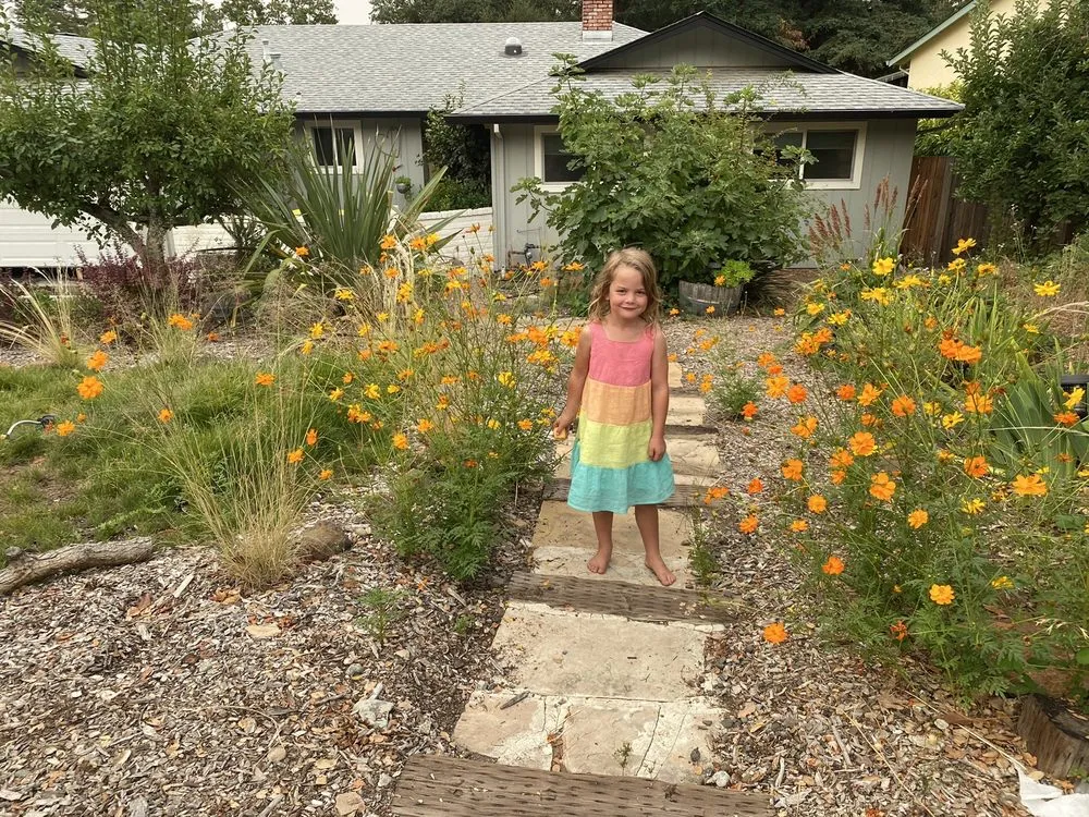 Professional yard cleanup service for outdoor upgrades in Santa Rosa, CA by MDL Landscape