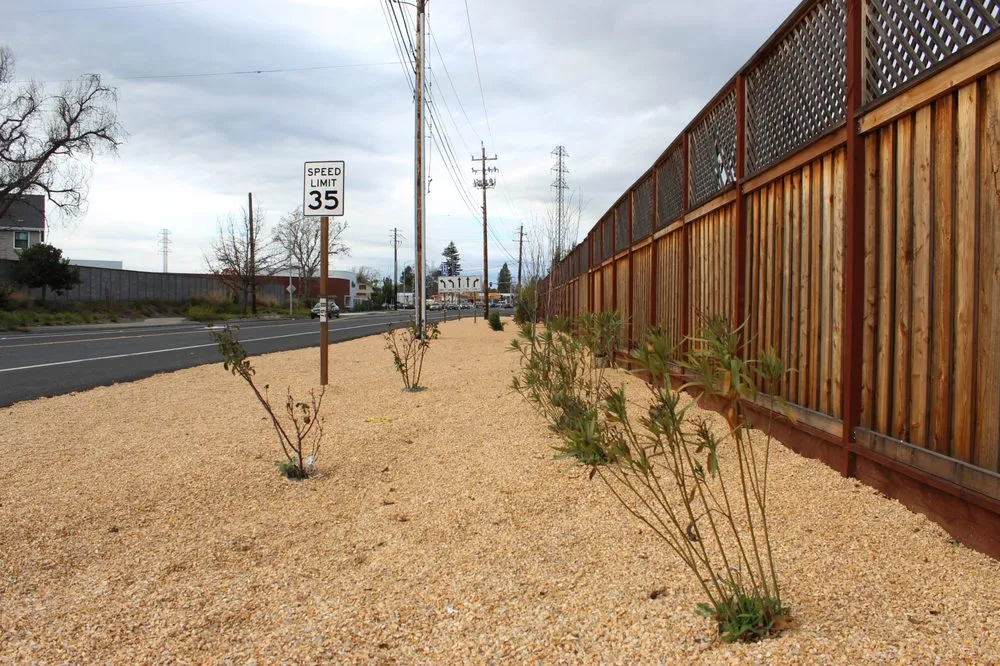 Expert yard cleanup service for residential properties across Santa Rosa, CA - MDL Landscape