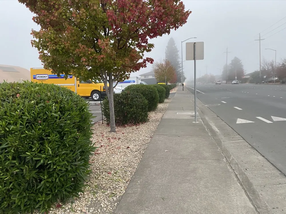 Affordable landscape installation in Santa Rosa, CA by MDL Landscape