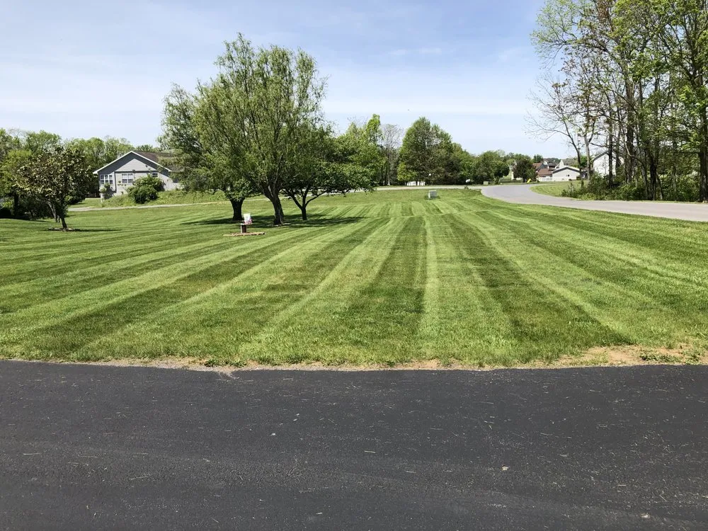 Trusted yard cleanup service in Walkersville, MD - MDL Snow Removal & Lawncare