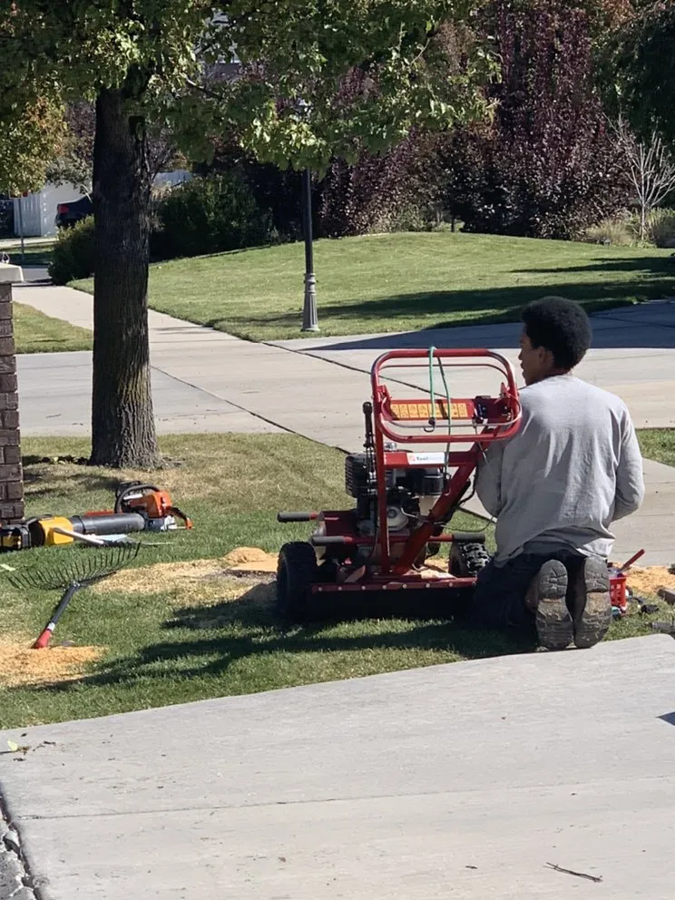 Local landscaping services for beautiful yards across Riverton, UT - MDM Holdings