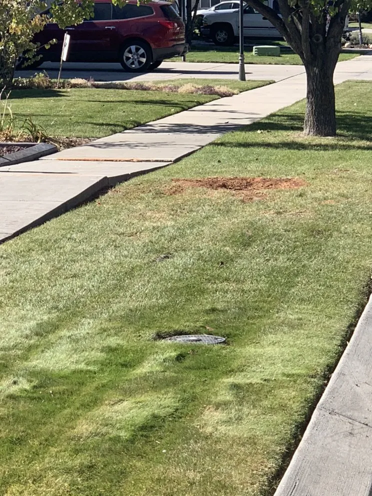 Top-rated landscape design in Riverton, UT - MDM Holdings