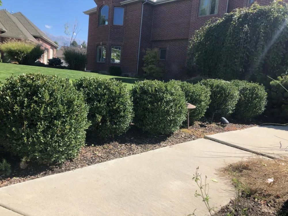 Expert landscaping services for homes in Riverton, UT by MDM Holdings