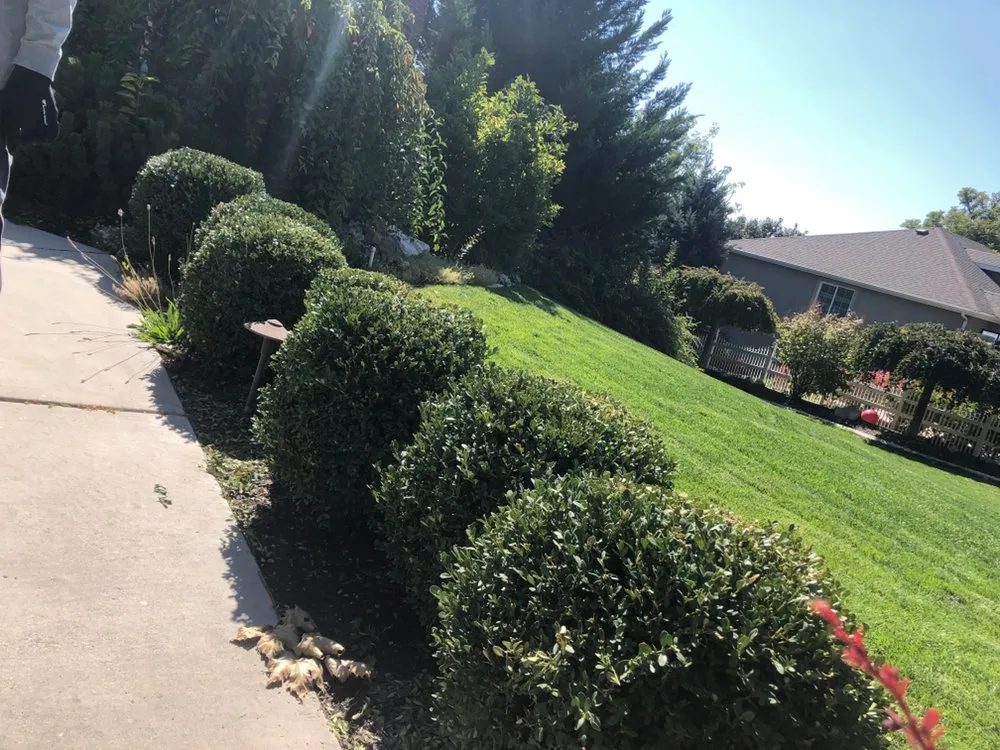 Trusted outdoor landscaping for outdoor upgrades across Riverton, UT - MDM Holdings