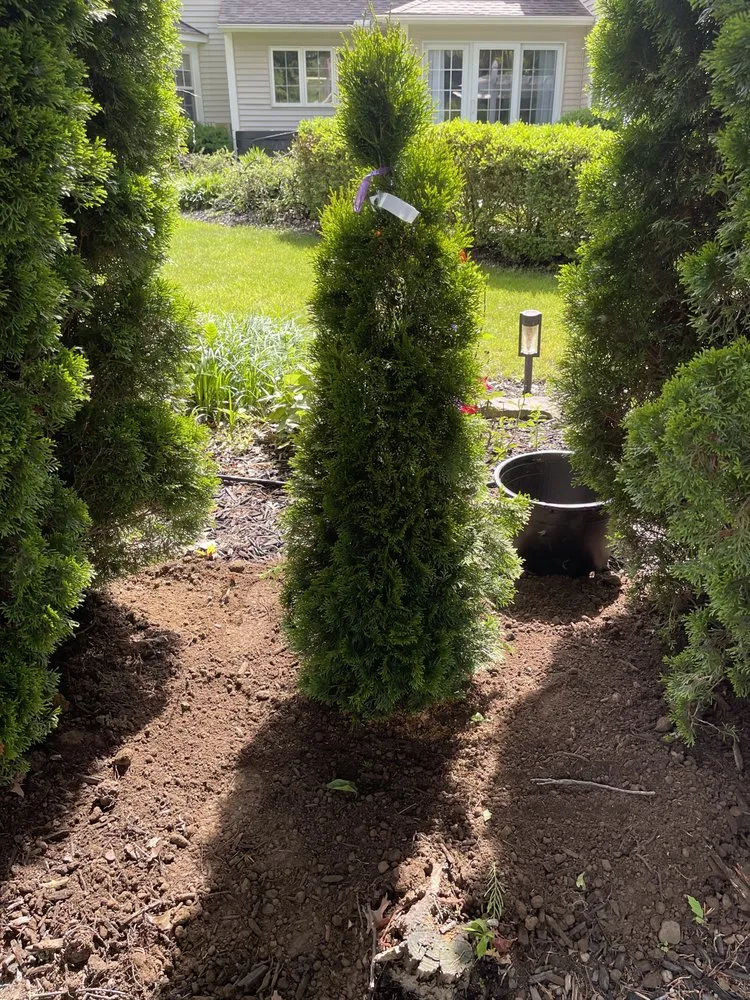 Affordable outdoor landscaping in Cleveland, OH - Mdm Land Care & Junk Removal Service