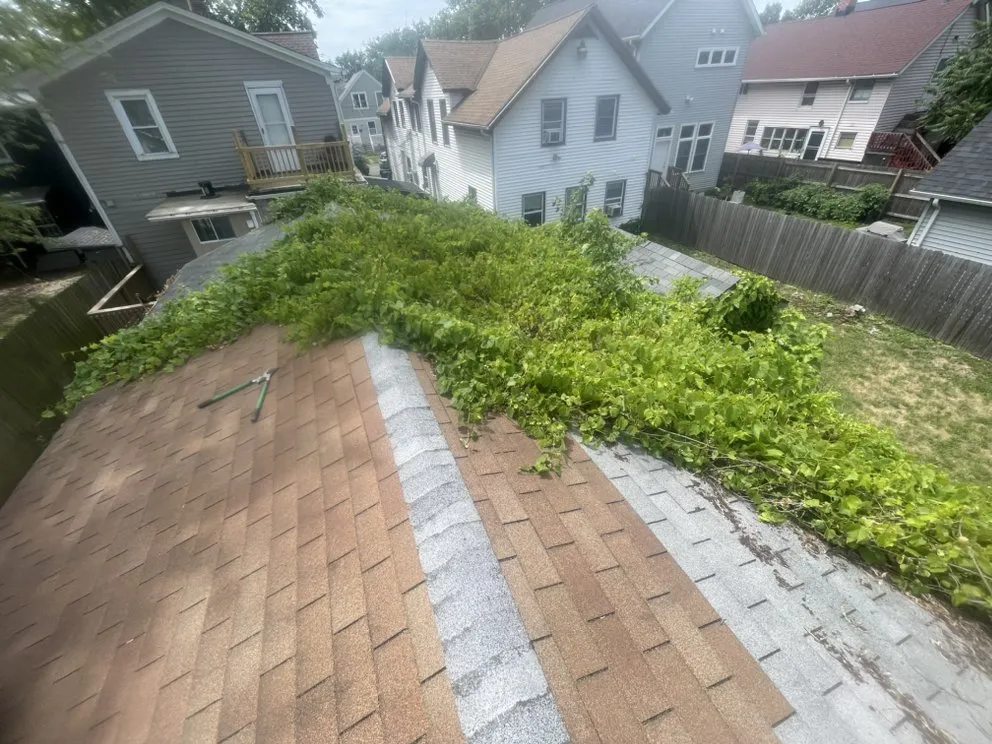 Professional residential landscaping in Cleveland, OH - Mdm Land Care & Junk Removal Service