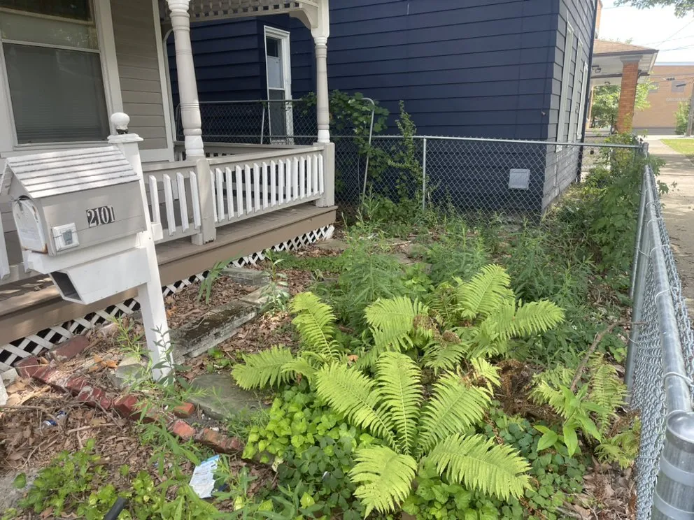 Local lawn care service for year-round maintenance in Cleveland, OH by Mdm Land Care & Junk Removal Service