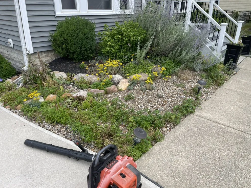 Trusted landscaping services in Cleveland, OH - Mdm Land Care & Junk Removal Service