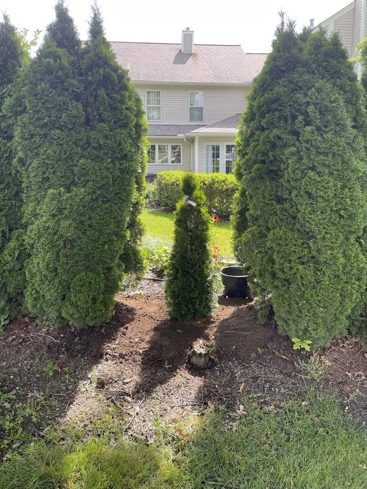 Reliable lawn mowing service in Cleveland, OH - Mdm Land Care & Junk Removal Service