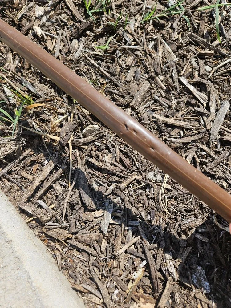 Expert landscape design for beautiful yards across Godley, TX - MDM Landscapes