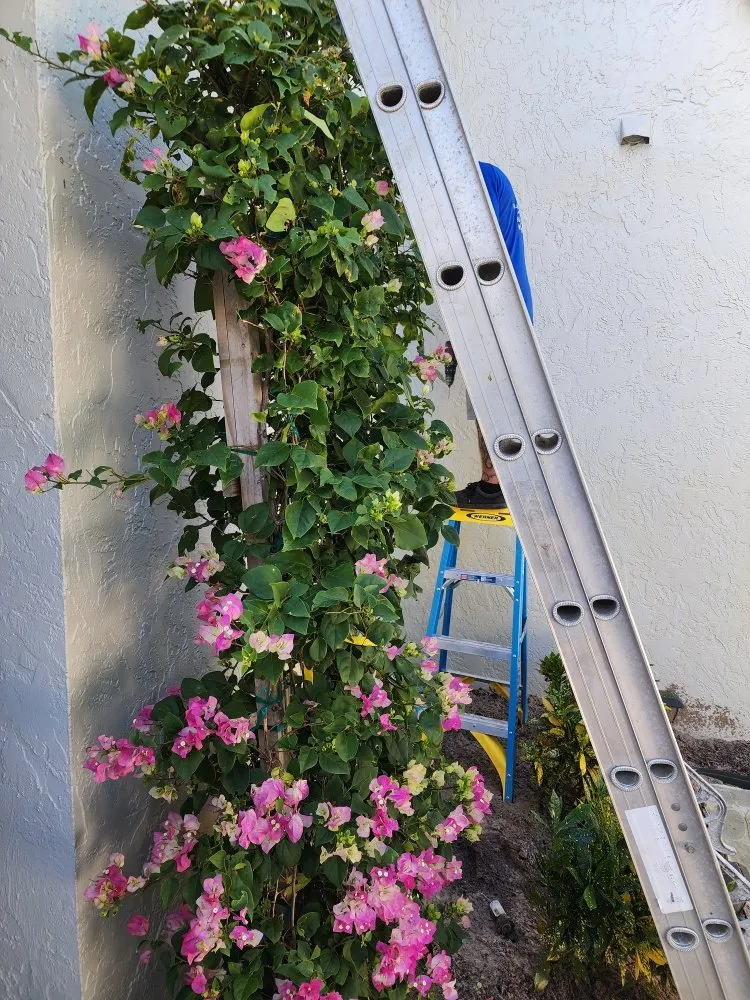 Custom landscaping services for outdoor upgrades across Pompano Beach, FL - MDM Landscaping and Maintenance Services