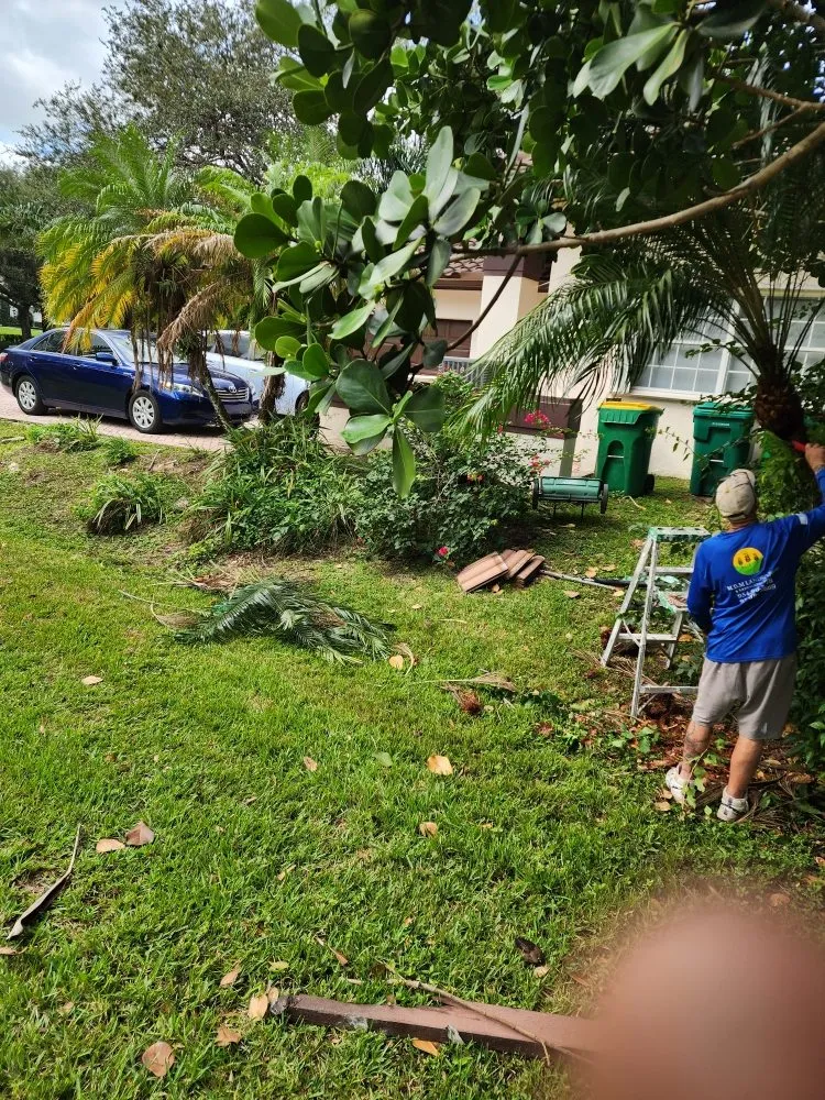 Local lawn care service in Pompano Beach, FL by MDM Landscaping and Maintenance Services