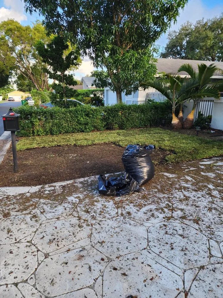 Expert landscaping services experts serving Pompano Beach, FL - MDM Landscaping and Maintenance Services