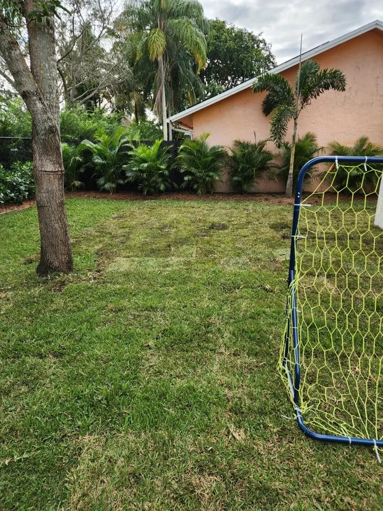 Reliable residential landscaping in Pompano Beach, FL by MDM Landscaping and Maintenance Services