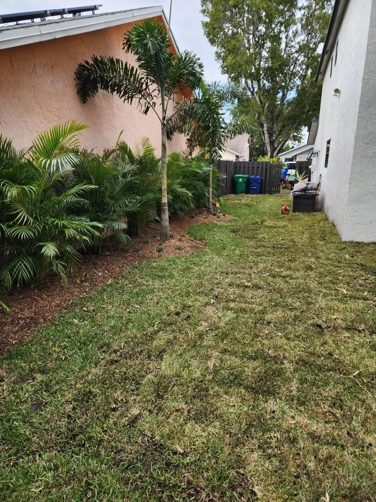 Trusted landscaping services in Pompano Beach, FL - MDM Landscaping and Maintenance Services