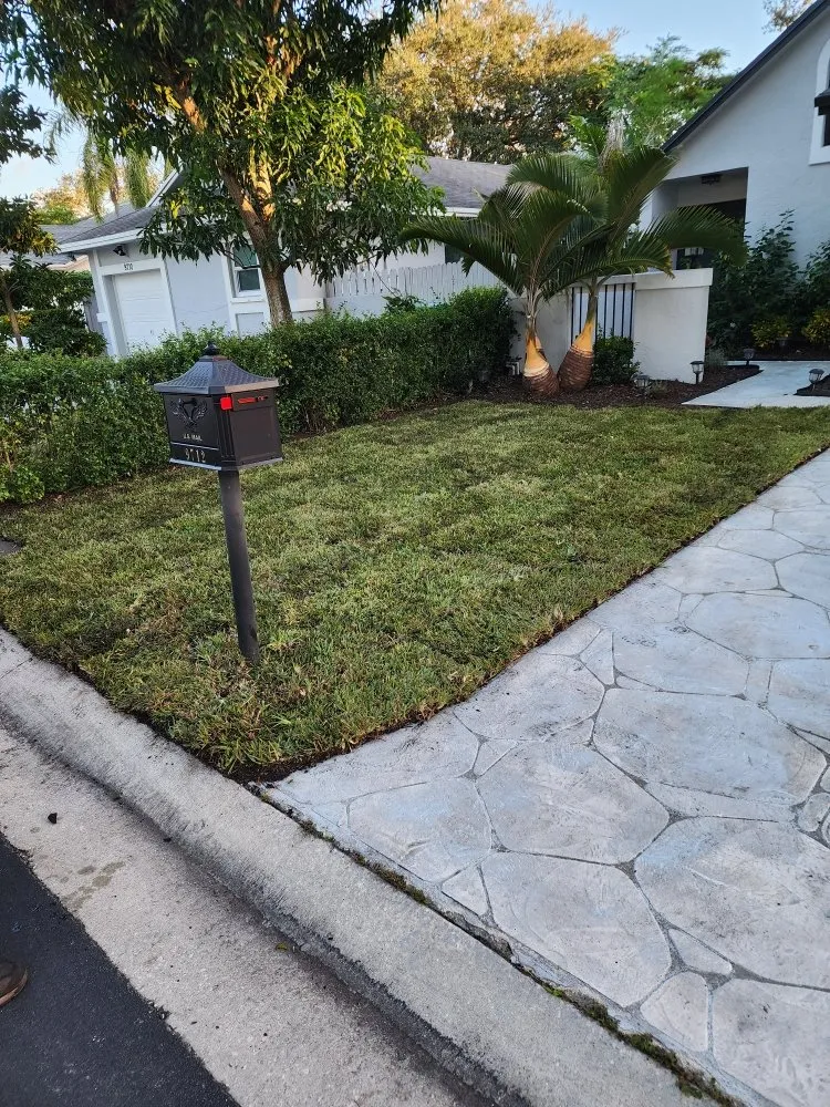 Affordable landscape design experts serving Pompano Beach, FL - MDM Landscaping and Maintenance Services