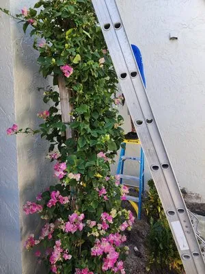 MDM Landscaping and Maintenance Services