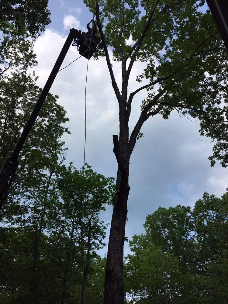 Local garden landscaping in Tannersville, PA by MDM landscaping