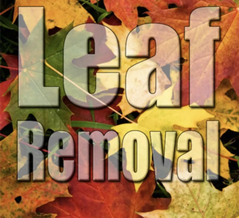 Expert outdoor landscaping for beautiful yards across Tannersville, PA - MDM landscaping