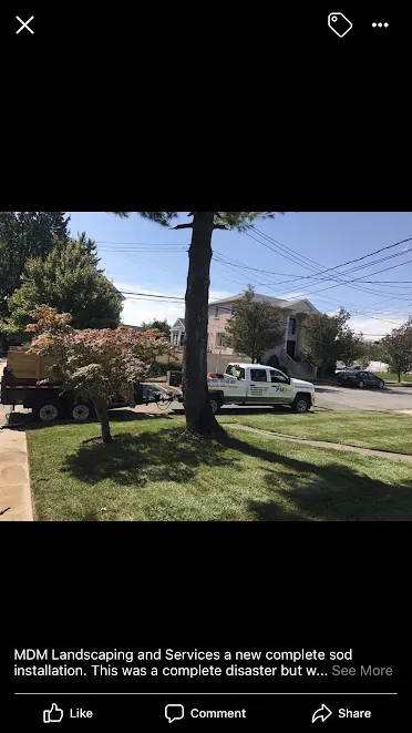 Affordable outdoor landscaping in Tannersville, PA by MDM landscaping