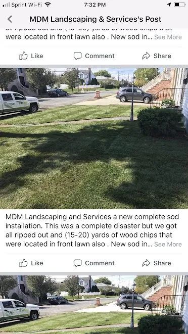 Top-rated landscaping services for year-round maintenance across Tannersville, PA - MDM landscaping