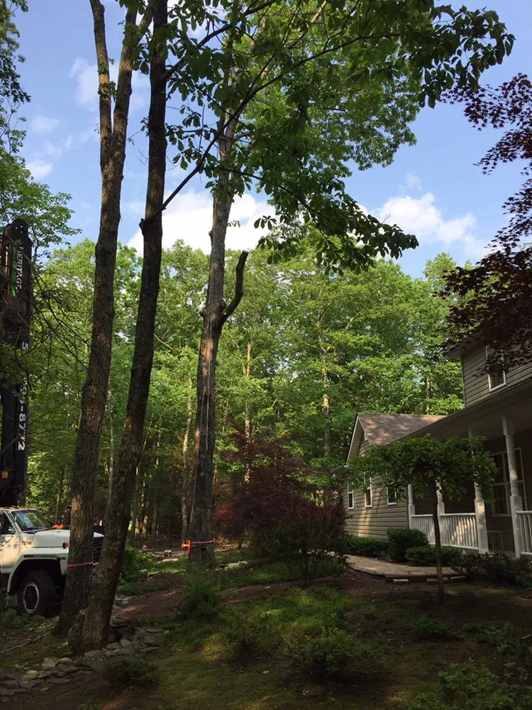 Professional yard cleanup service for residential properties in Tannersville, PA by MDM landscaping