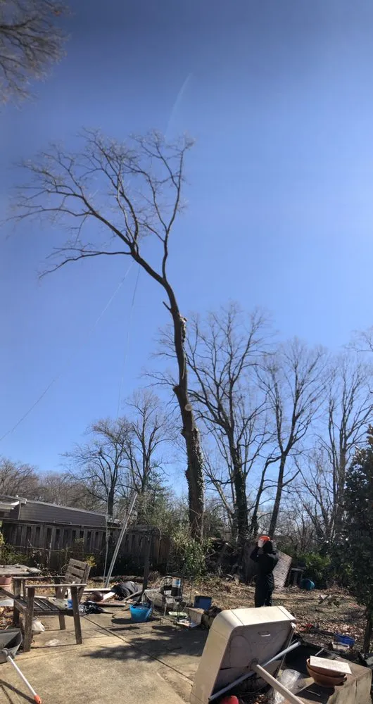 Trusted landscape installation experts serving KENSINGTON, MD - MDR Landscaping & Tree Service