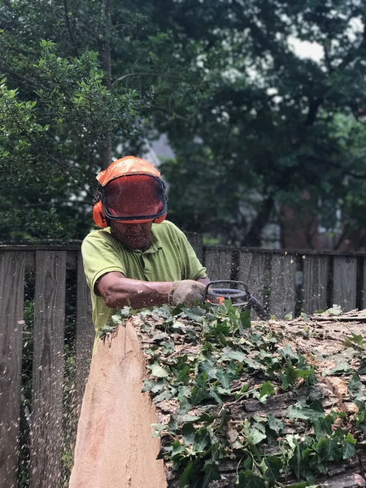 Top-rated landscape installation experts serving KENSINGTON, MD - MDR Landscaping & Tree Service