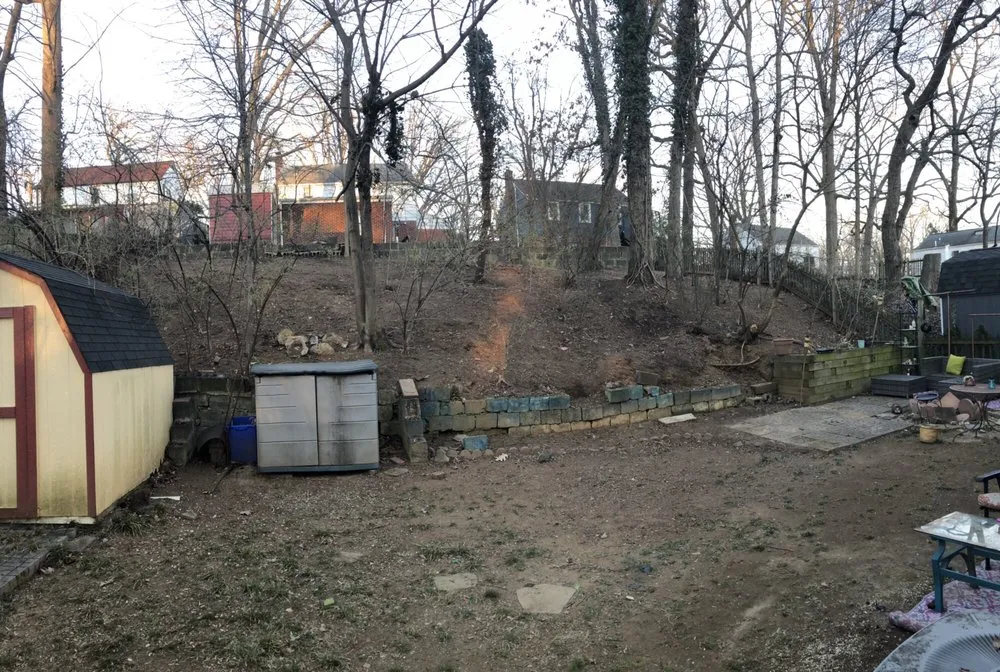 Affordable landscape design in KENSINGTON, MD by MDR Landscaping & Tree Service