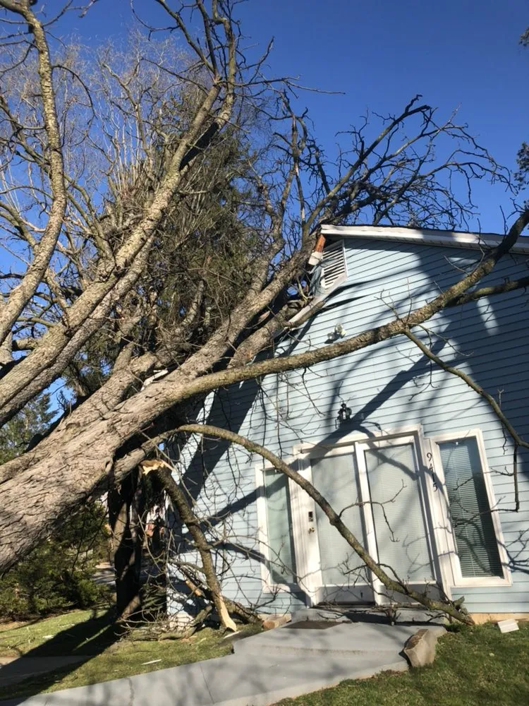 Expert lawn mowing service experts serving KENSINGTON, MD - MDR Landscaping & Tree Service