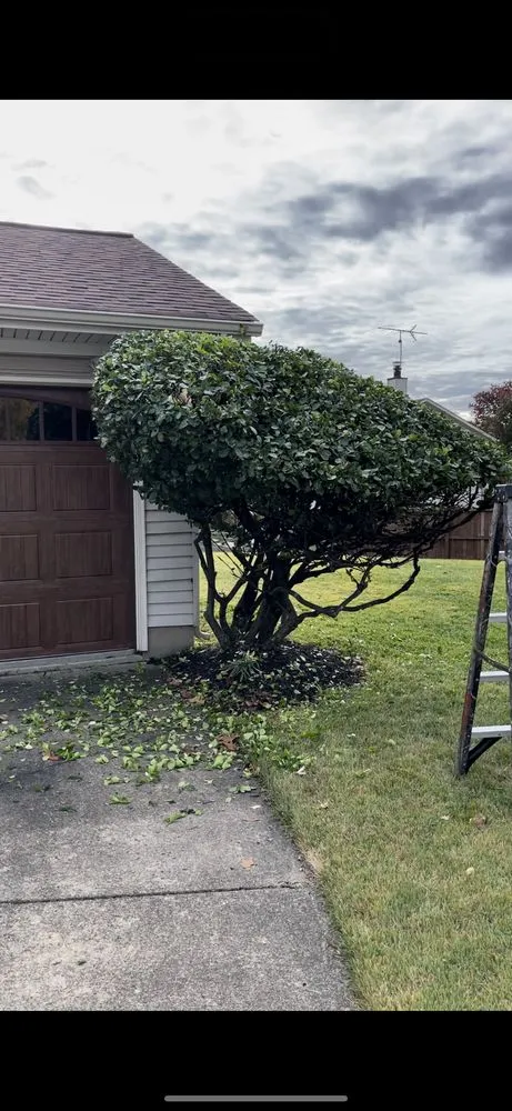 Expert lawn mowing service with custom design across KENSINGTON, MD - MDR Landscaping & Tree Service