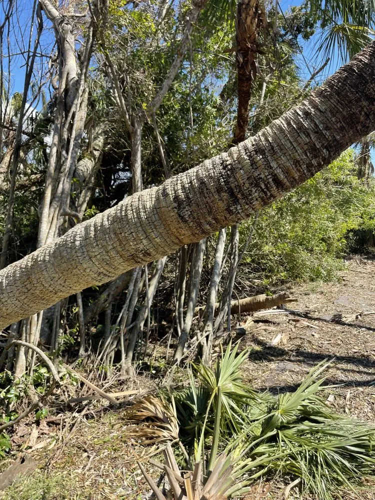 Custom outdoor landscaping in Englewood, FL - MDS Dedication Service