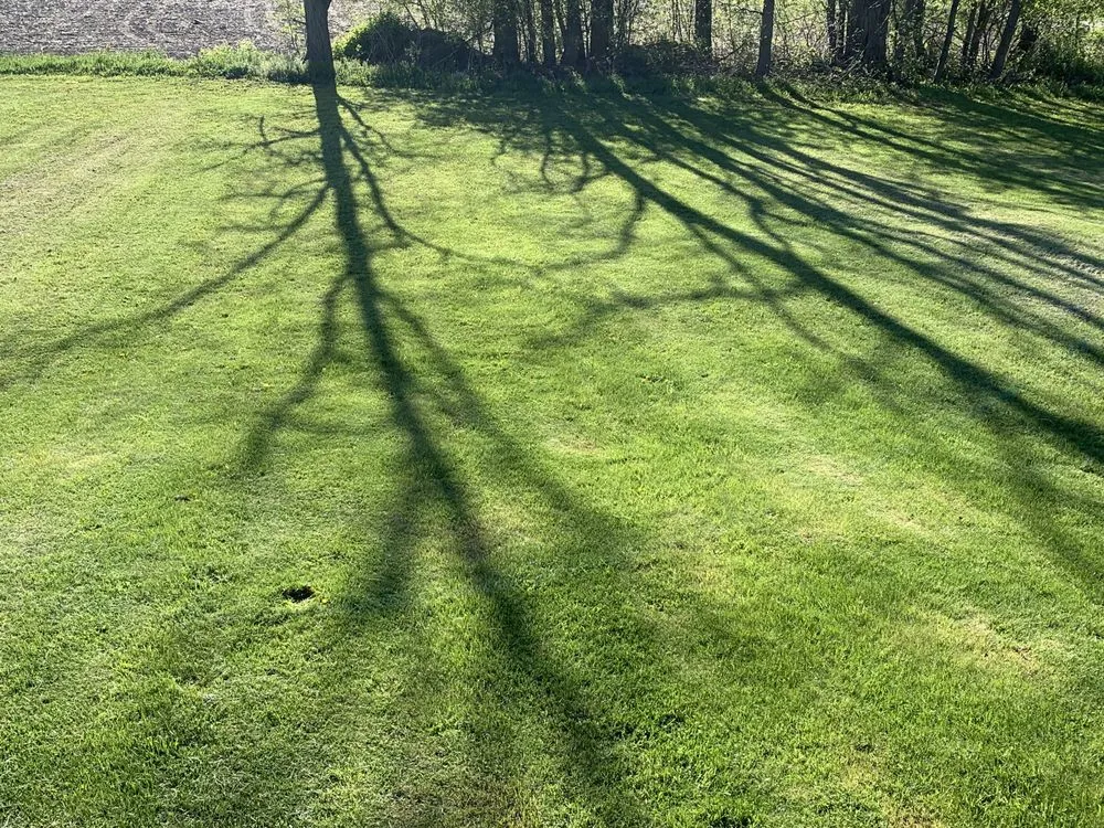 Trusted landscape installation in Groton, NY - Mds Enterprises of Cny