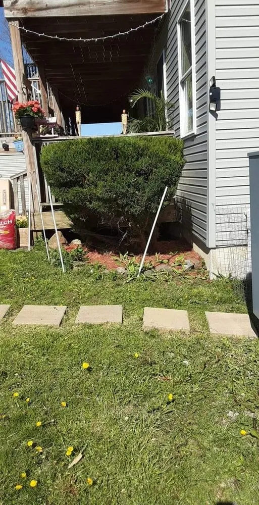 Affordable yard maintenance for homes in Groton, NY by Mds Enterprises of Cny