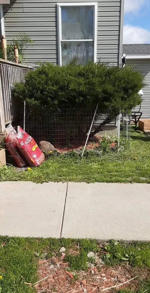 Expert yard cleanup service in Groton, NY - Mds Enterprises of Cny