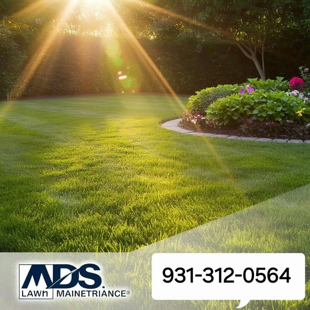 Expert outdoor landscaping for year-round maintenance in Morrison, TN by MDS Lawn Maintenance