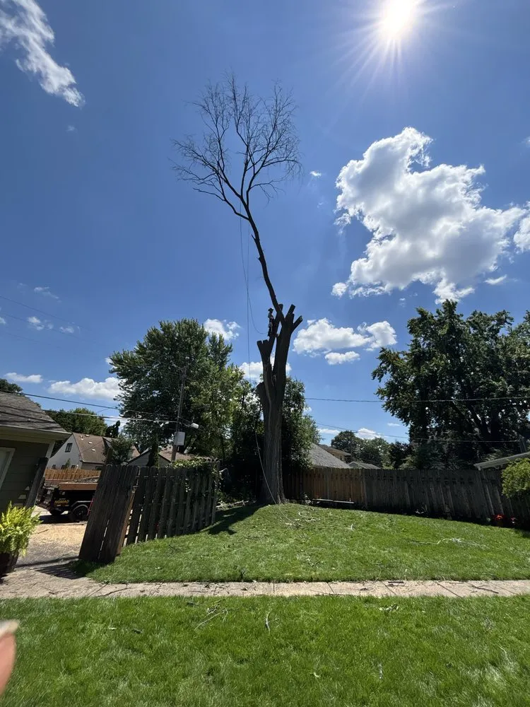 Top-rated yard maintenance in Mounds view, MN by MDT Quality Tree services