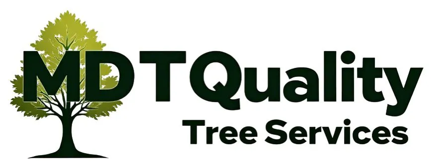 Expert outdoor landscaping with custom design across Mounds view, MN - MDT Quality Tree services