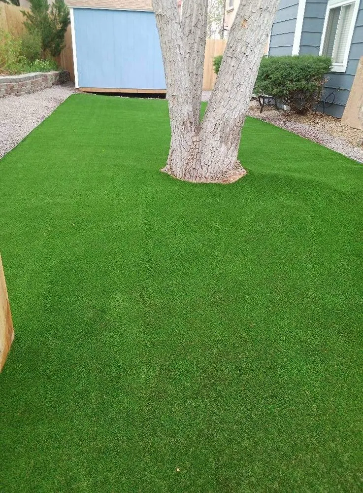 Reliable yard cleanup service for residential properties across Colorado Springs, CO - Mdz Landscaping