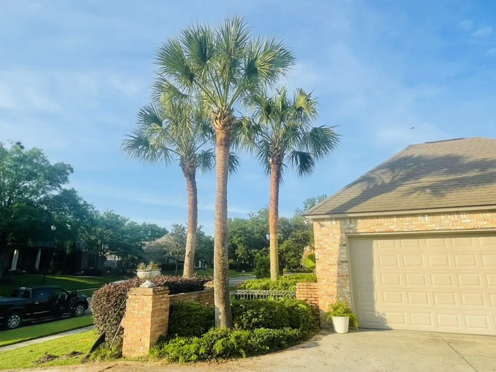 Local residential landscaping experts serving Baton Rouge, LA - MDZ tree Service